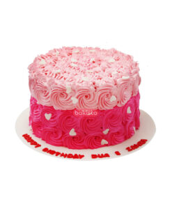 light and dark pink cake