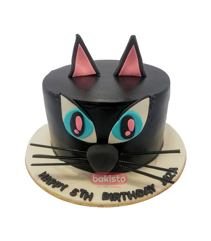 Easy Cat Birthday Cake | DIY Kit | Cake 2 The Rescue | Ragdoll cat