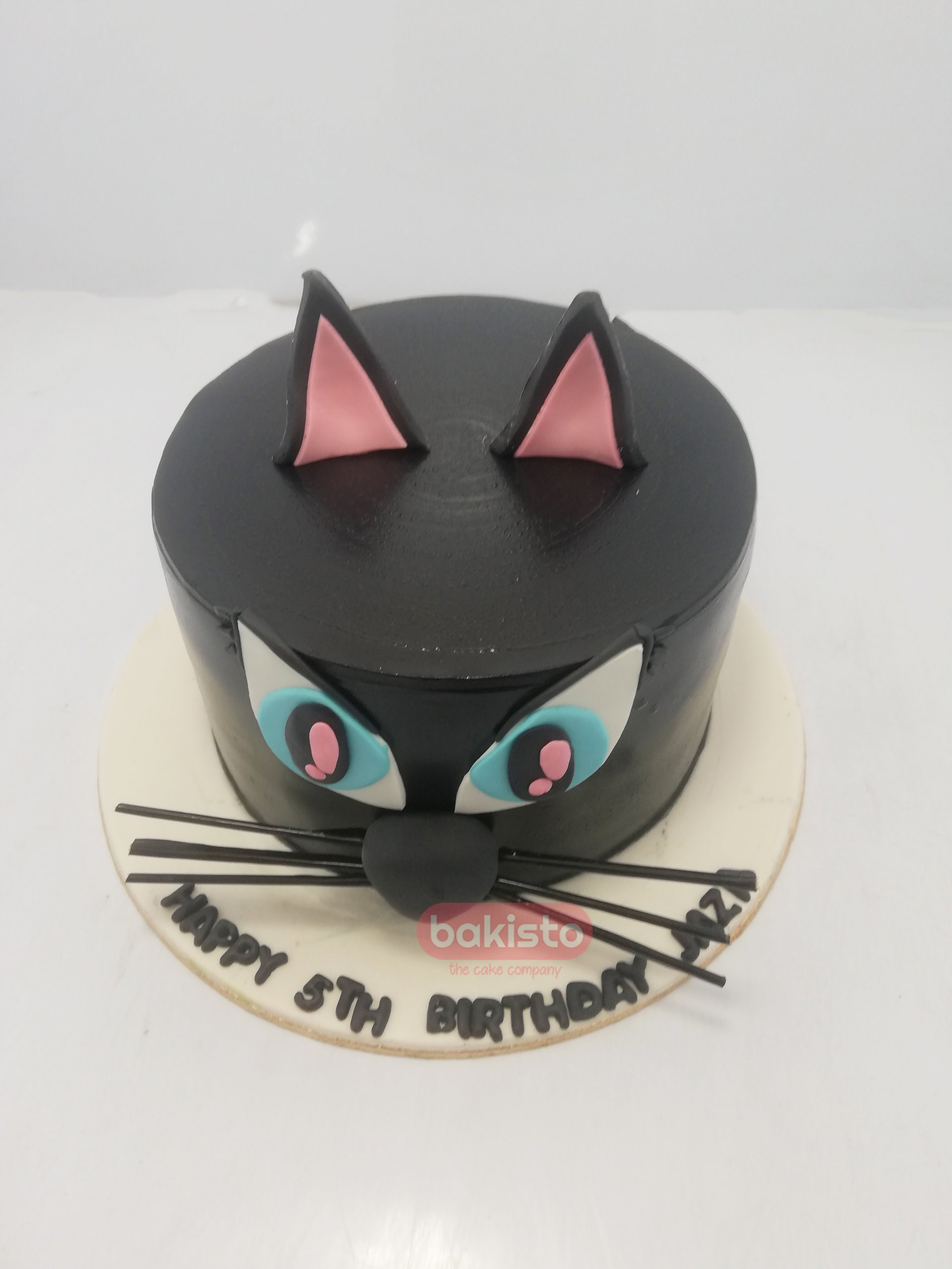 Adorable cat in a Party Hat Birthday Cake!