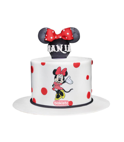 minnie mouse cake, online cake delivery in lahore