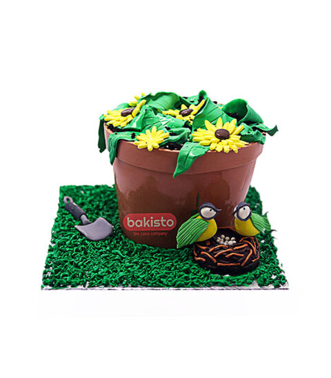 Flower Pot Cake In Lahore By Bakisto The Cake Company 9318