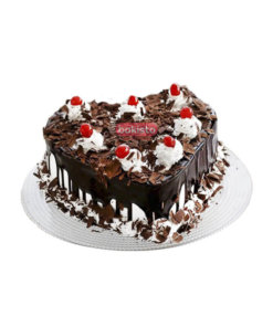 chocolate with black forest cake
