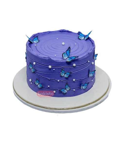 Butterfly Cake